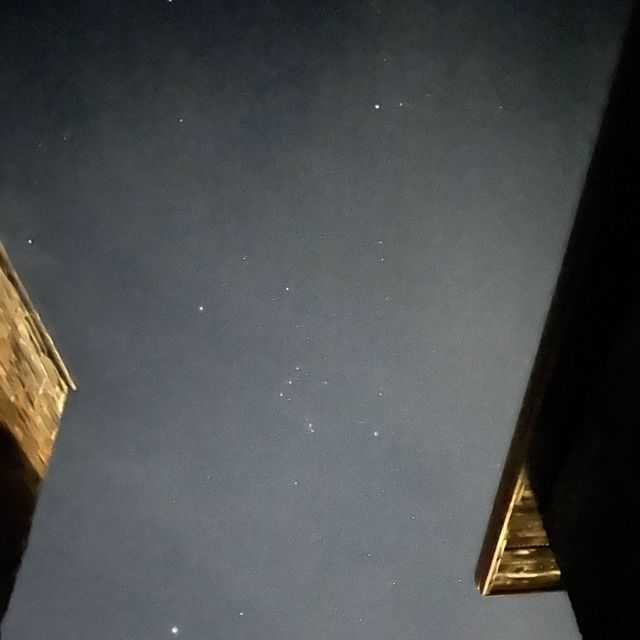 제천 포레스트 리솜 s30 숲캉스 후기 🍃