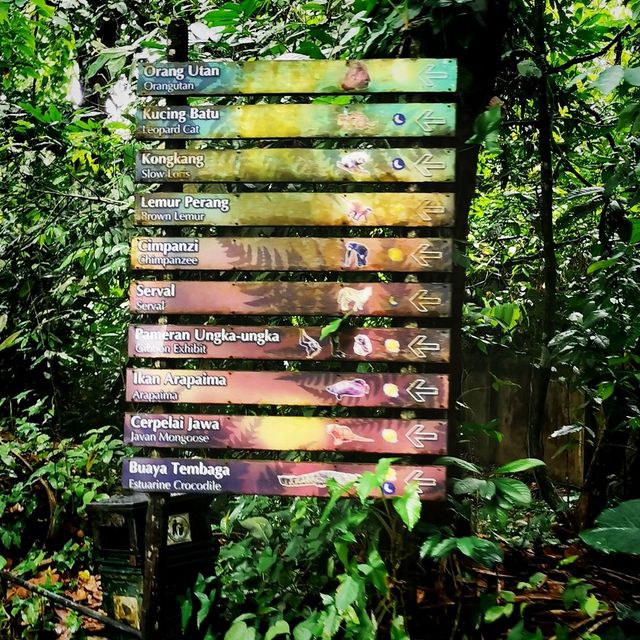 Best Zoo 🌺
