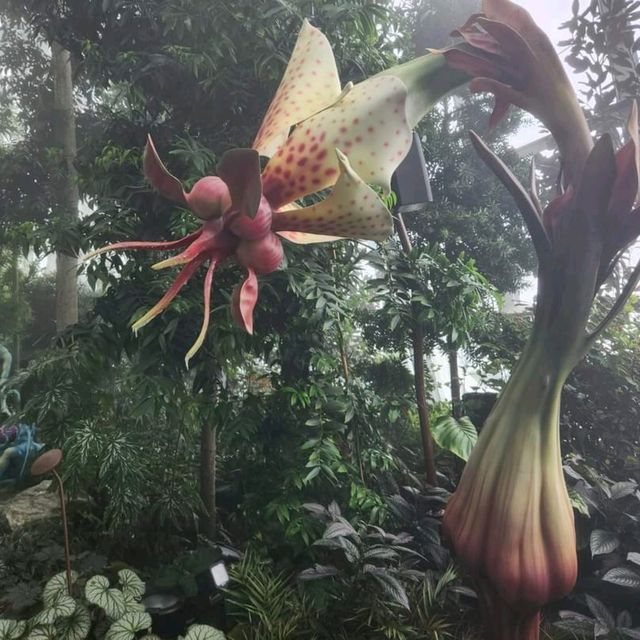 Cloud Forest At Gardens By The Bay