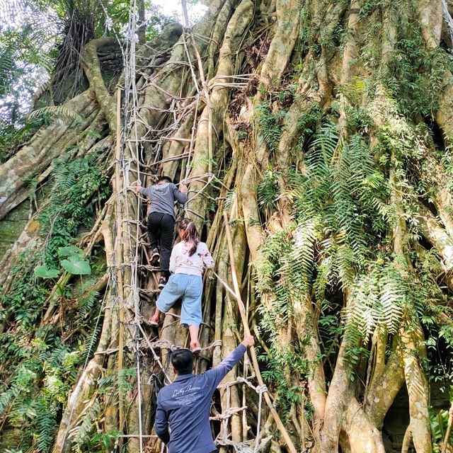 布農族原住民生活體驗