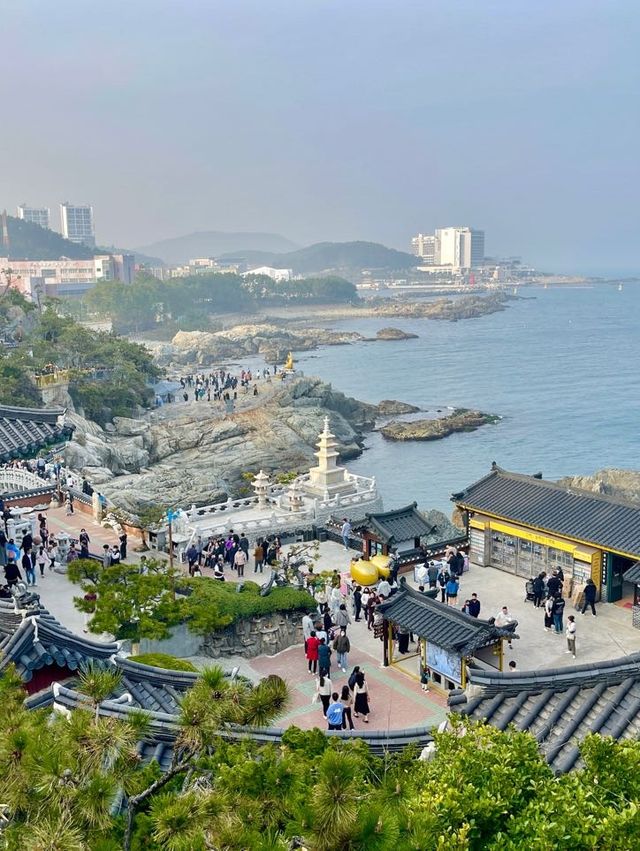 부산 기장 해동용궁사 부산여행에 꼭 넣으세요❣️