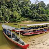 TAMAN NEGARA PAHANG