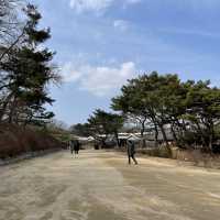 봄에 가면 좋은 창경궁 데이트