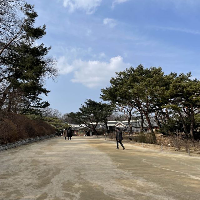 봄에 가면 좋은 창경궁 데이트