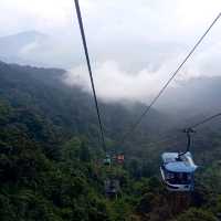 Viewing Natural Forest When Taking Skyway
