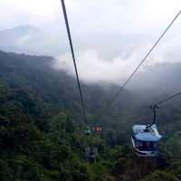 Viewing Natural Forest When Taking Skyway