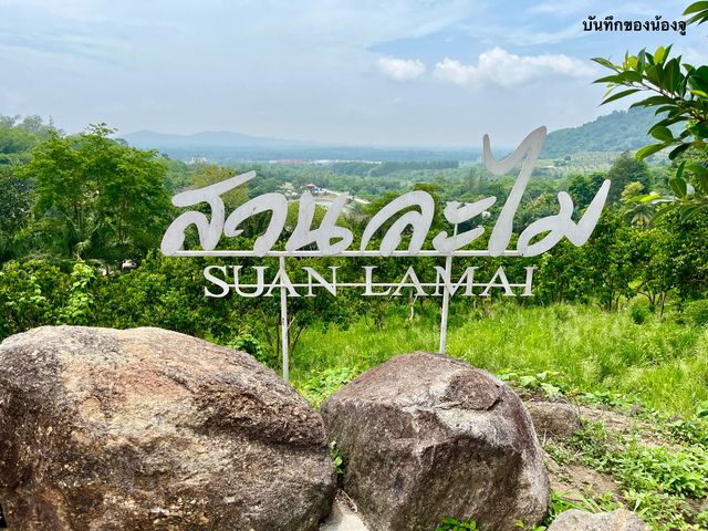 เที่ยวสวนละไม กินบุฟเฟต์ ทุเรียนกัน@ระยอง