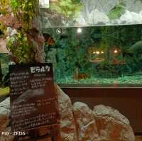 沖繩景點DMM_Kariyushi水族館 