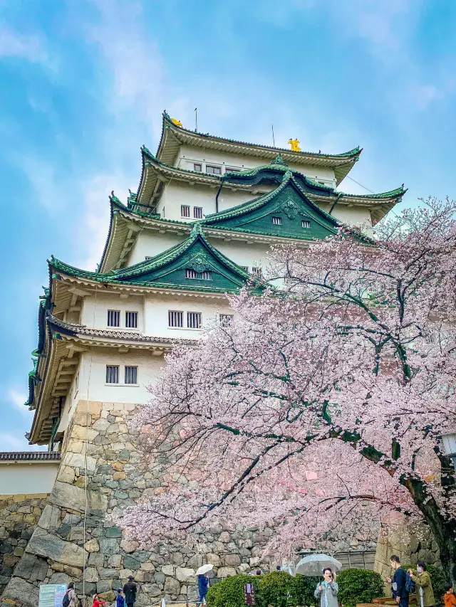 일본 나고야 벚꽃명소, 나고야성