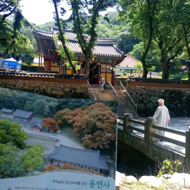 부처님에 진신사리탑..적멸보궁이잇는 비슬산 용연사를 갓다