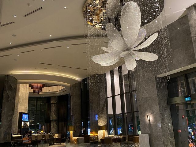 Birthday Surprise 1/2 - Carlton City Hotel