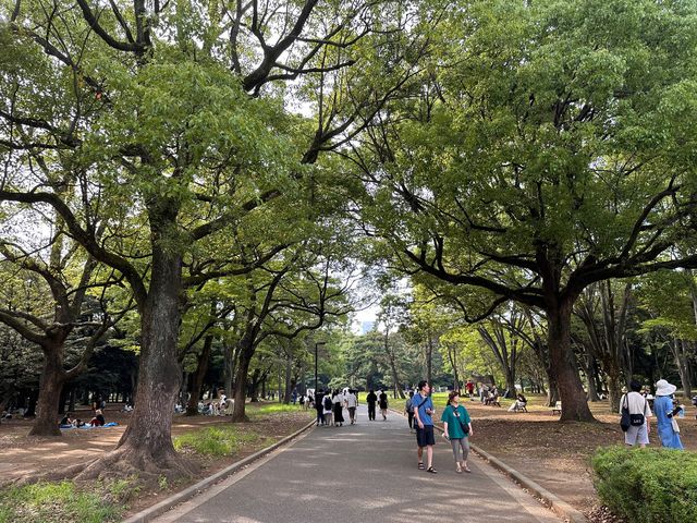 東京放電好去處