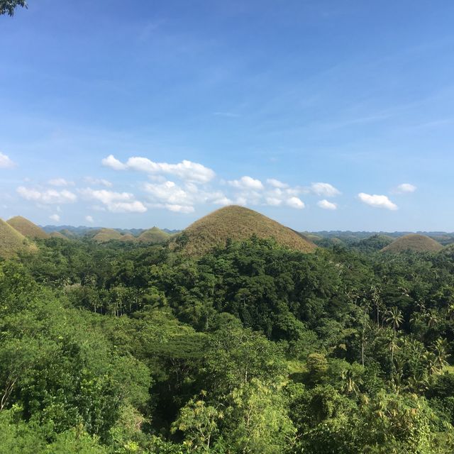 Chocolate Hills - Philippines 