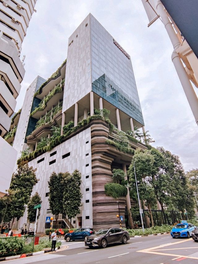 Hidden Gem in the Middle of CBD Singapore