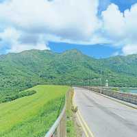 心曠神怡 ！大嶼山遊蹤 ！