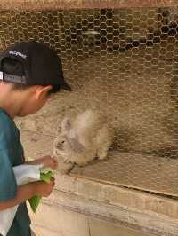 【京都】福知山市動物園