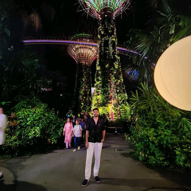 A must watch light show in Singapore 😍