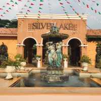 Silverlake - A Large Vineyard 🍇🤗