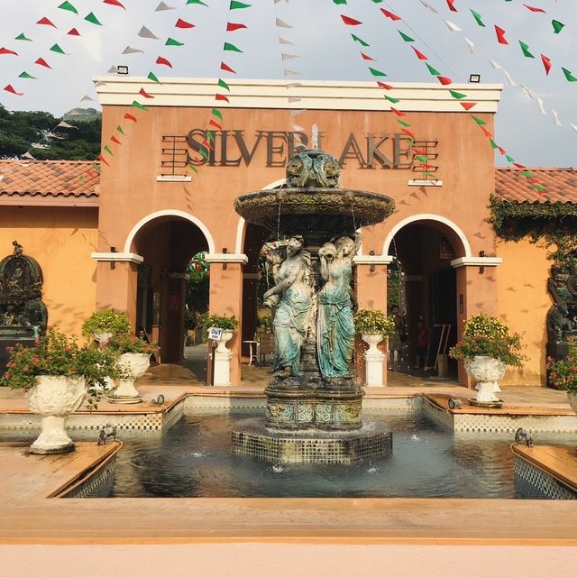 Silverlake - A Large Vineyard 🍇🤗