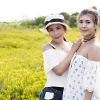ทุ่งโปรงทอง