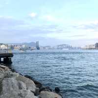 Cozy Peaceful Harbour View