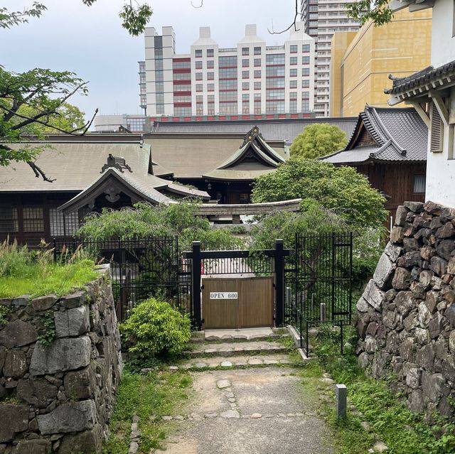 고쿠라성의 야경🏯🎆🌌🎇