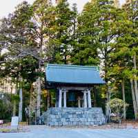 Autumn in Nikko Toshogu 🍂🍁