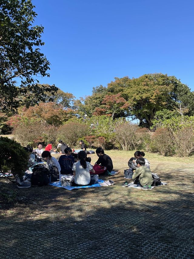 【神奈川県/源氏山公園】自然豊かな鎌倉の公園