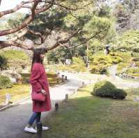《京都》穴場の観光SPOT🐥