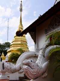 ✨ วัดพระธาตุปูแจ สักการะ ไหว้พระขอพรอันศักดิ์สิทธิ์