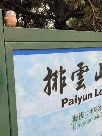 🏔️ 台灣最高峰玉山 3952 公尺🚩台灣百岳挑戰成功！
