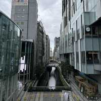 도쿄 시부야역 호텔, 스트림 엑셀 도큐🏨