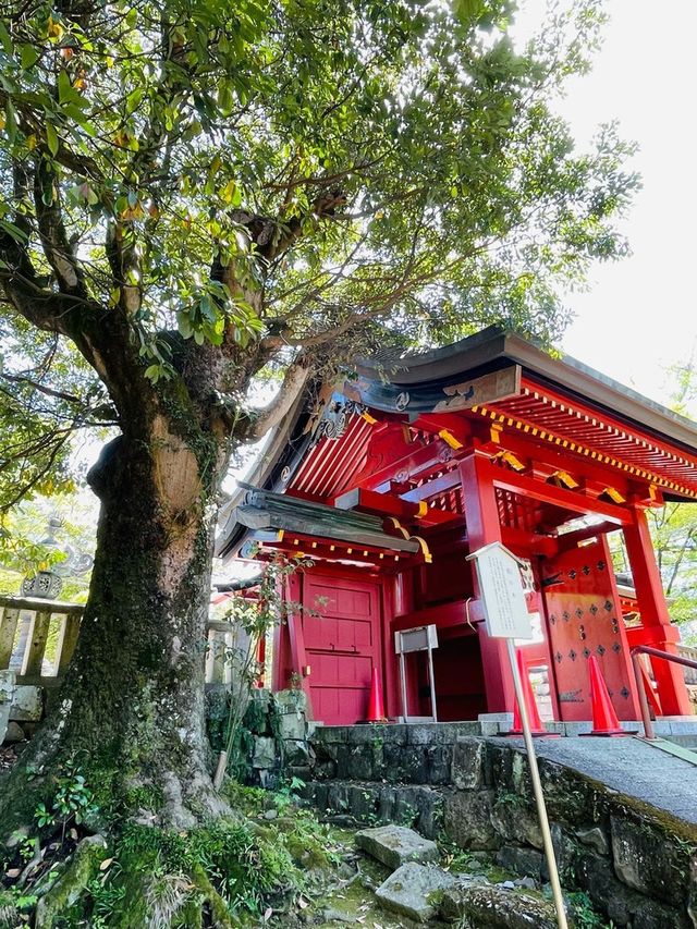 【群馬県/一之宮貫前神社】2023年行ってよかった！群馬県の神社⑥