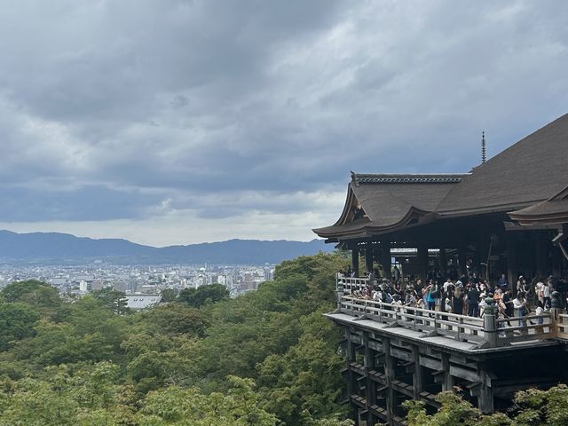 🌳교토가 한 눈에 보이는 신사, 기요미즈테라 ⛩️