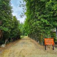 หอมนสิการ | Manasikarn จ.สระบุรี