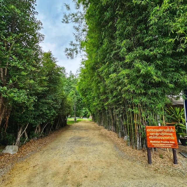 หอมนสิการ | Manasikarn จ.สระบุรี