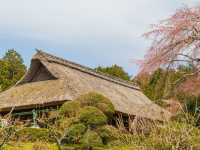 A beautiful park in Gotemba