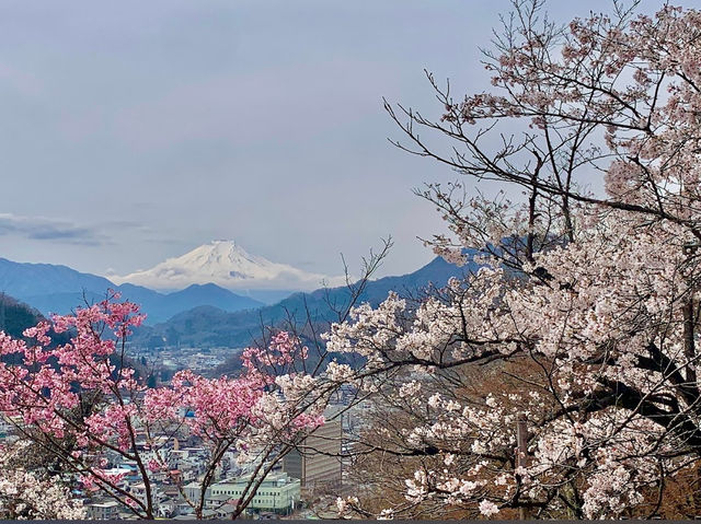 Maruyama Park 