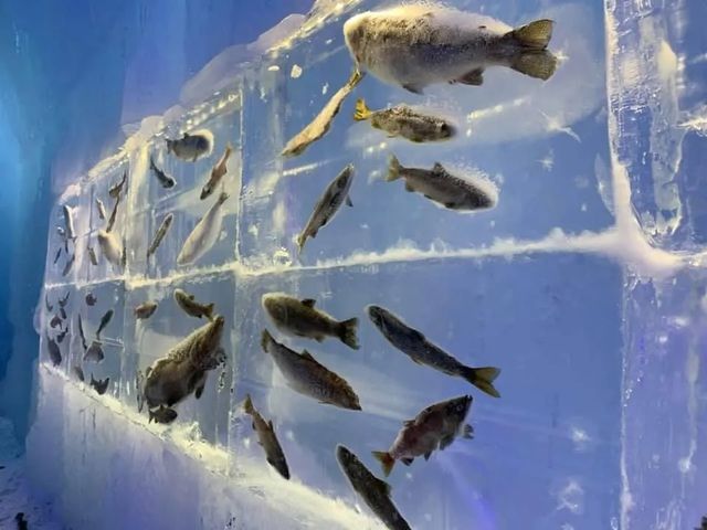 【北海道旅行】北海道 千歳・支笏湖 氷濤まつり 昼夜で姿を変える人の手でつくられた幻想的な氷山たち
