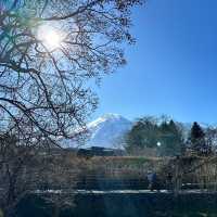 🇯🇵日本 富士山一日遊攻略🗻一定要看天氣預測！！