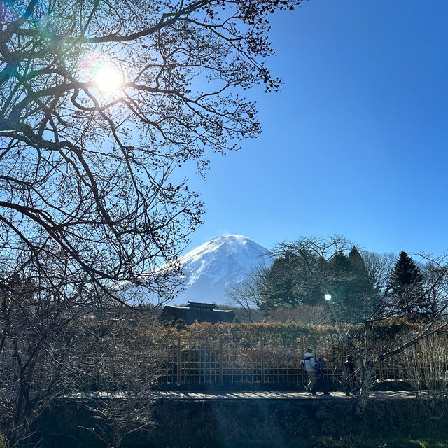 🇯🇵日本 富士山一日遊攻略🗻一定要看天氣預測！！