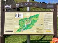 Asahiyama Memorial Park 