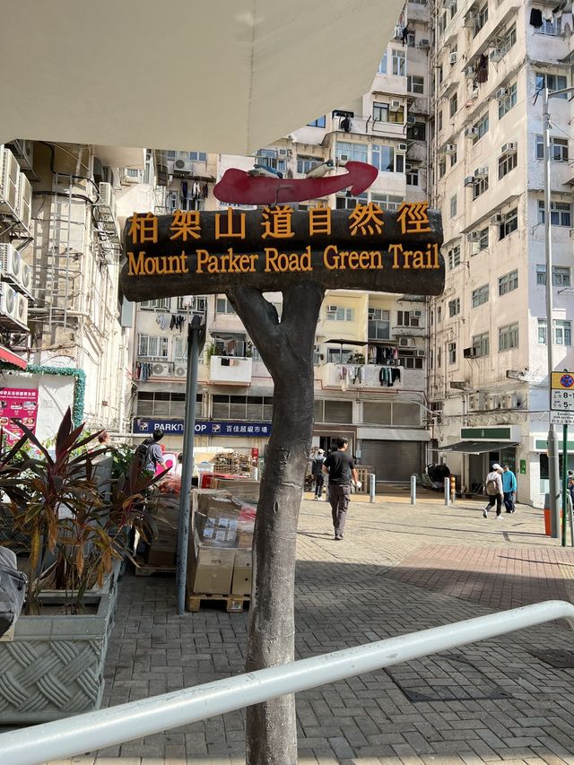 怪獸大廈  怪獸大廈