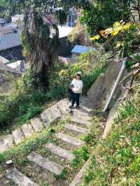 【神奈川】横須賀 階段を登った先で見つけたお洒落カフェ