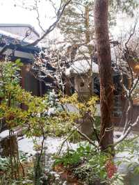 名古屋好去處|高山市人氣咖啡館☘️享受四季變化的景色