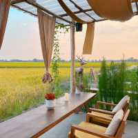 คาเฟ่ปทุมธานีเปิดใหม่  🍃🌾  