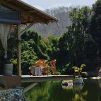 Serene House cafe ชลบุรี