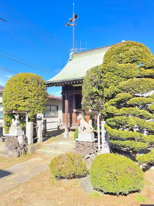 【清門稲荷神社/埼玉県】数々の石碑群に見守られている神社