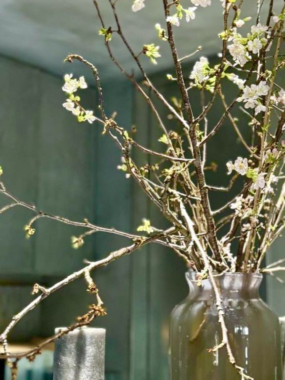 싱그러운 봄을 닮은 디저트와 🌷 베이커리 식사를 즐기실 수 있는 도쿄 카페투어