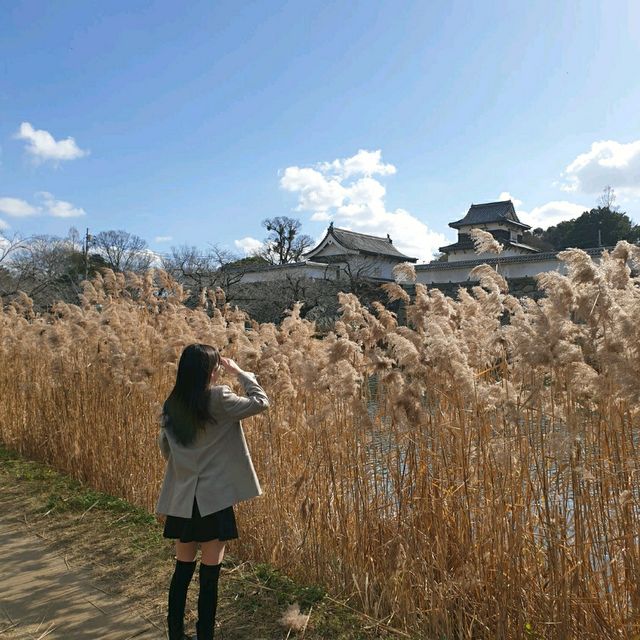 산책하기 좋은 곳, 오호리 공원🌳
